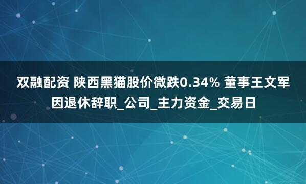 双融配资 陕西黑猫股价微跌0.34% 董事王文军因退休辞职_公司_主力资金_交易日