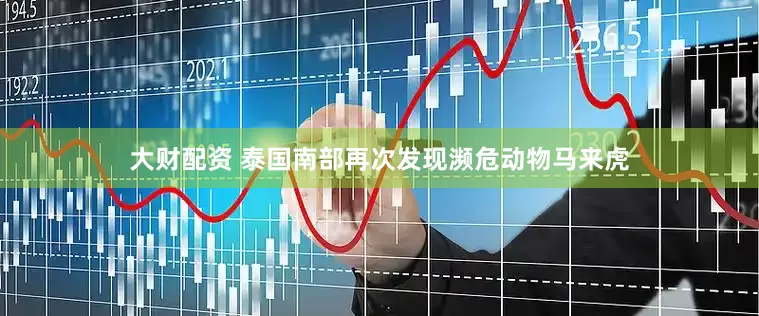 大财配资 泰国南部再次发现濒危动物马来虎