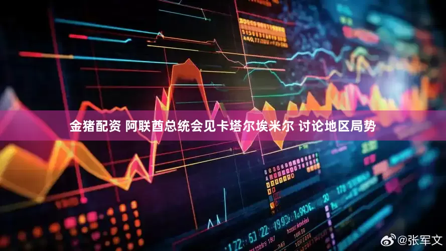 金猪配资 阿联酋总统会见卡塔尔埃米尔 讨论地区局势