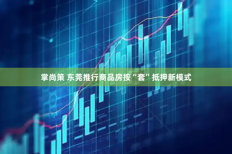 掌尚策 东莞推行商品房按“套”抵押新模式