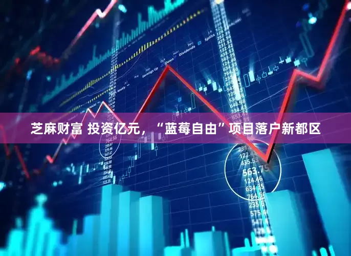 芝麻财富 投资亿元，“蓝莓自由”项目落户新都区