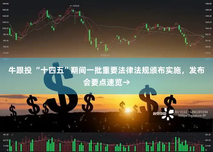 牛跟投 “十四五”期间一批重要法律法规颁布实施，发布会要点速览→