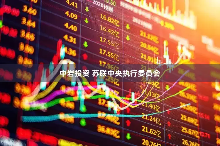 中岩投资 苏联中央执行委员会