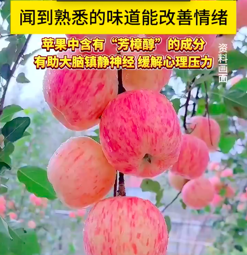 有些水果是天然情绪剂 低成本抗焦虑指南