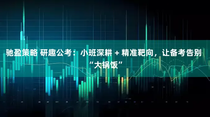 驰盈策略 研趣公考：小班深耕 + 精准靶向，让备考告别 “大锅饭”