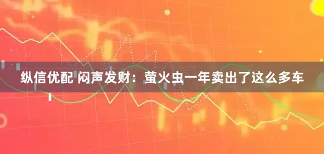 纵信优配 闷声发财：萤火虫一年卖出了这么多车